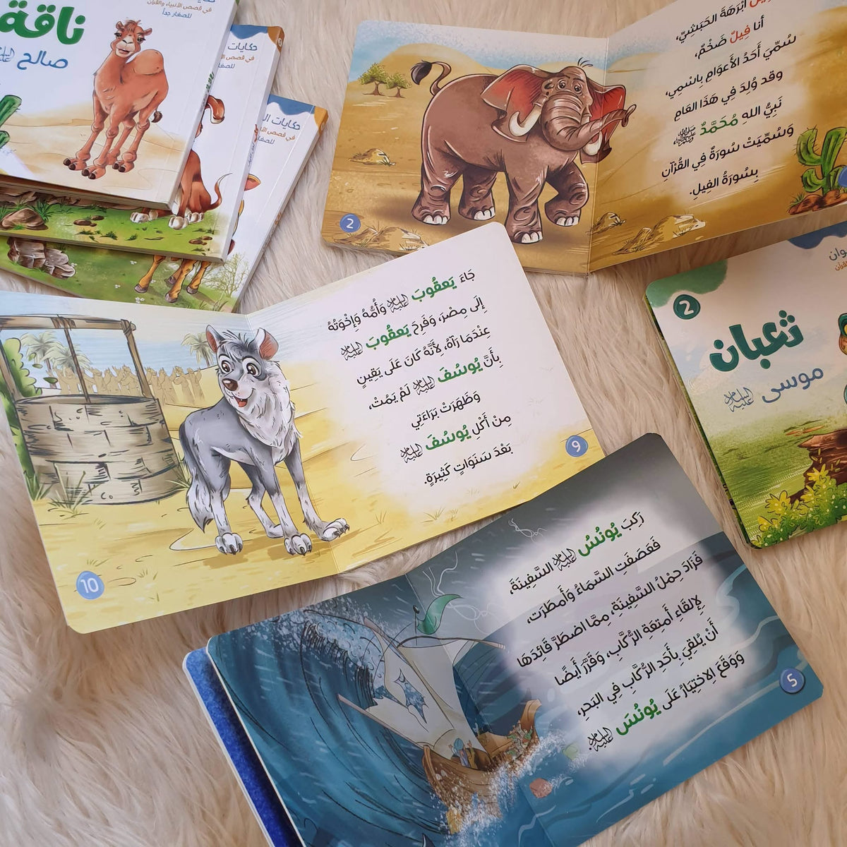 مجموعة قصص الحيوان في القرآن (ورق مقوى)