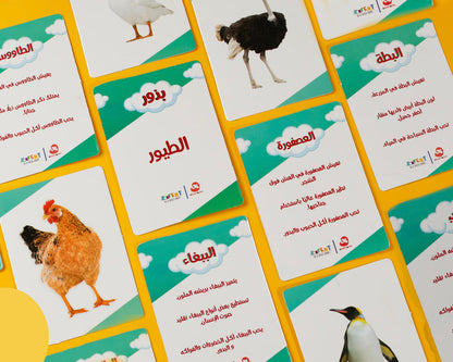 Educational cards with animal illustrations and text on a colorful background